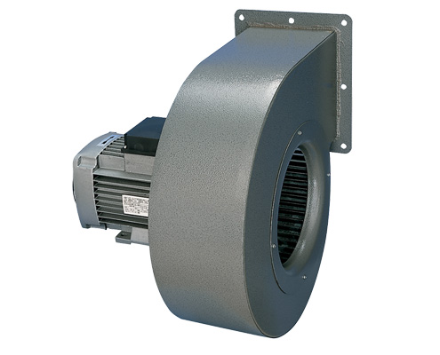 Vortice