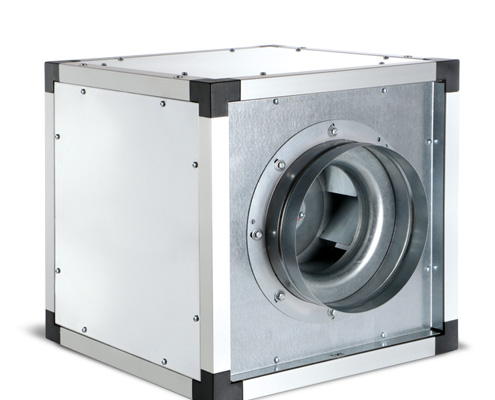 Vortice
